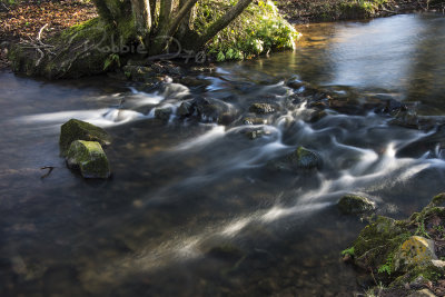 Stream backlit 01 copy.jpg