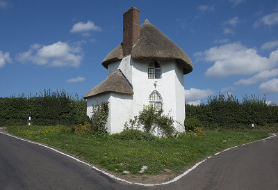 Mushroom_house01_copy.jpg
