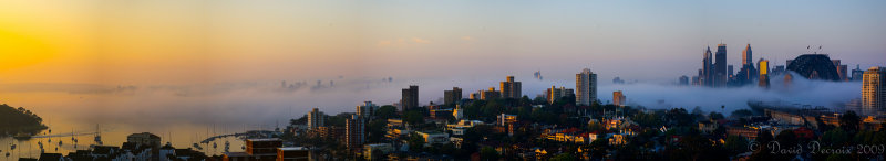 Sydney Morning Mist