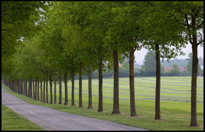 Alley in Hanaskog - Scania