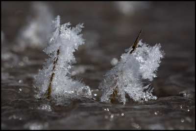 Frost formation Hammarstrand Jmtland