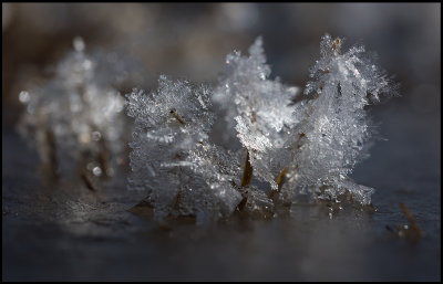 Frost formation Hammarstrand Jmtland