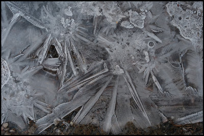 Frozen puddle - Kalix