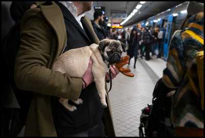 Stockholm Metro