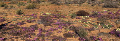 Image00817.jpg