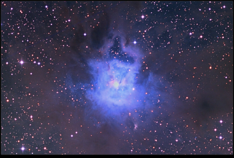 NGC 7023 Iris Nebula