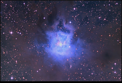 NGC 7023 Iris Nebula