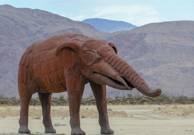 Columbian Mammoth
