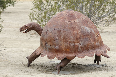 Giant Tortoise