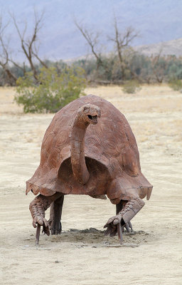 Giant Tortoise