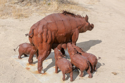 Hog and piglets