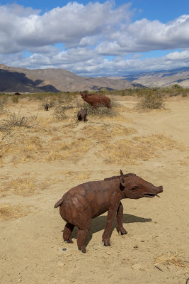 Pig