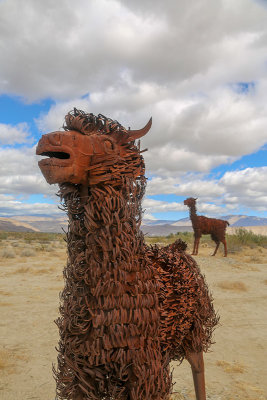Llamas