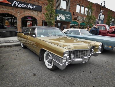 Caddy_GOLD.jpeg