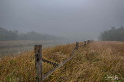 Fence in fog 11.29.17.jpg