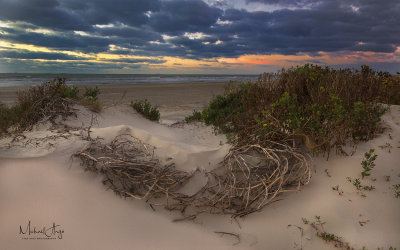 East Beach Dunes