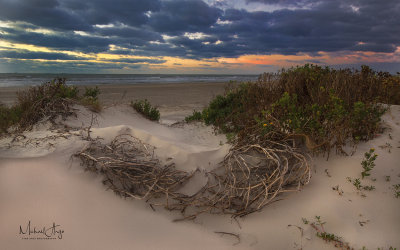 East Beach Dunes 