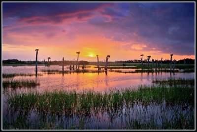 Florida Wetland Sunrise