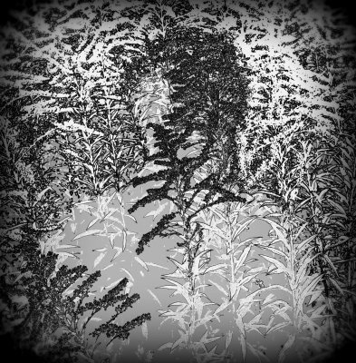 04-CNV00165.JPG