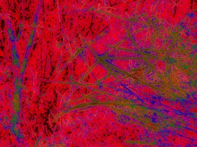 06-CNV00174.JPG