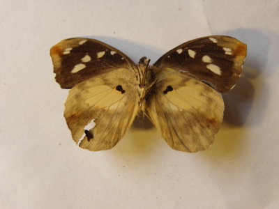 PA110559.JPG