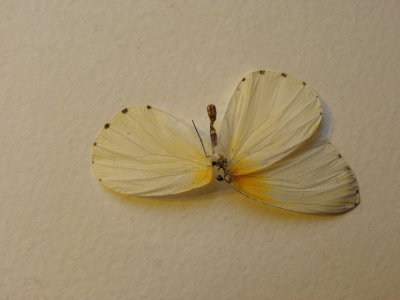 PA110568.JPG