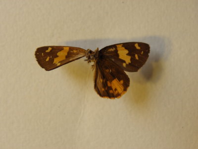 PA110576.JPG