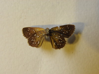 PA110578.JPG