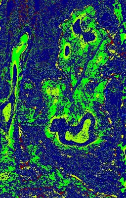 061-CNV00095-010.JPG
