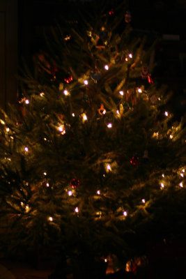 IMG_4511 Tree