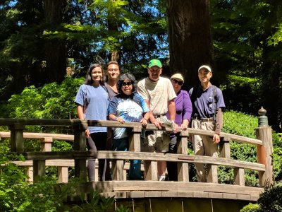 japanese_garden.jpg