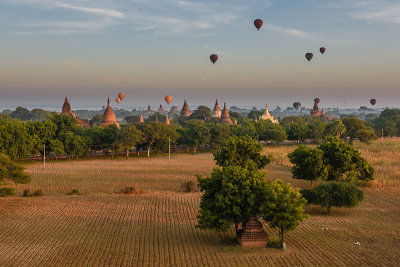 Fields and Balloons