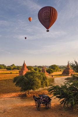 Ballons over Bagan