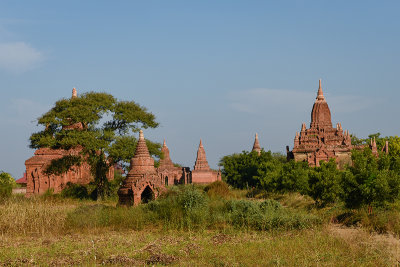 Unknown Pagoda 4