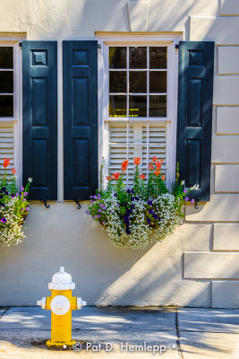 Windows, flowers, hydrant