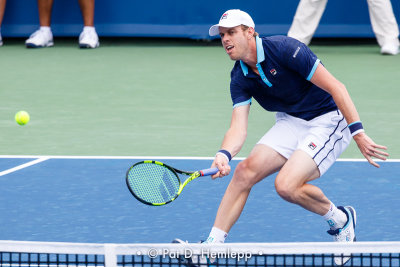 Sam Querrey, 2017