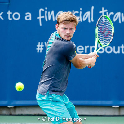 David Goffin, 2017