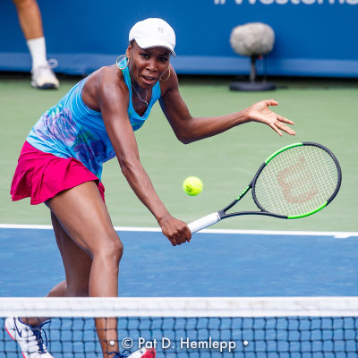 Venus Williams, 2017