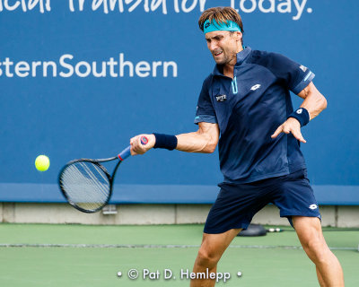 David Ferrer, 2017