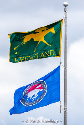 Flags above track