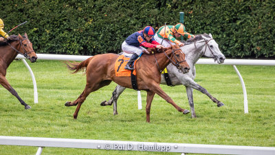 Close race