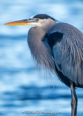 Heron profile