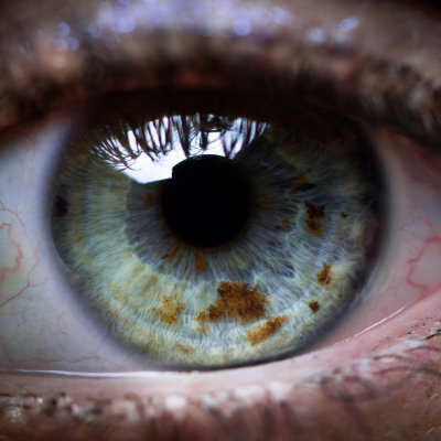 Macro