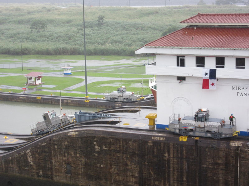 Mules returning to the next ship