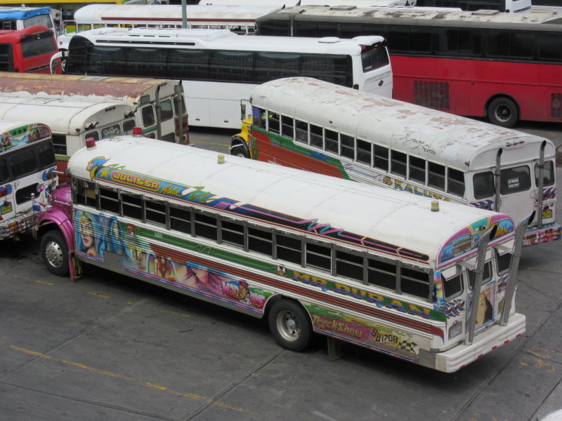 Lined up at Albrook bus terminal