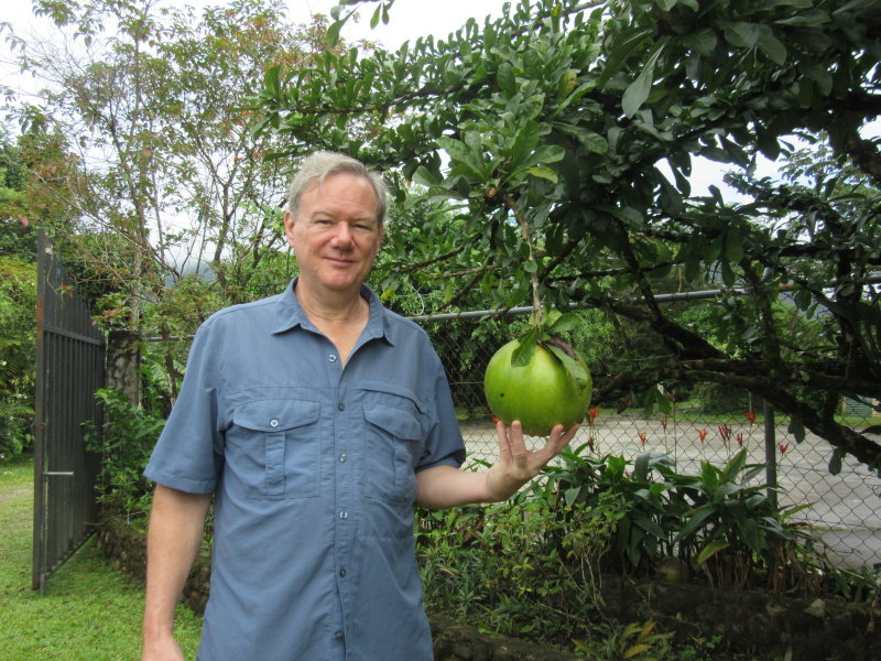 A calaboza tree and Pete