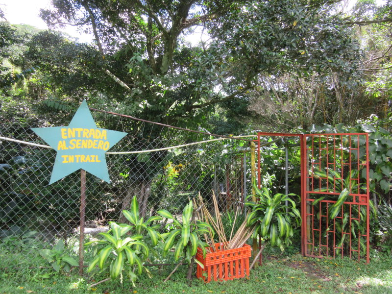 Entrance to the trail for the square-trunked trees