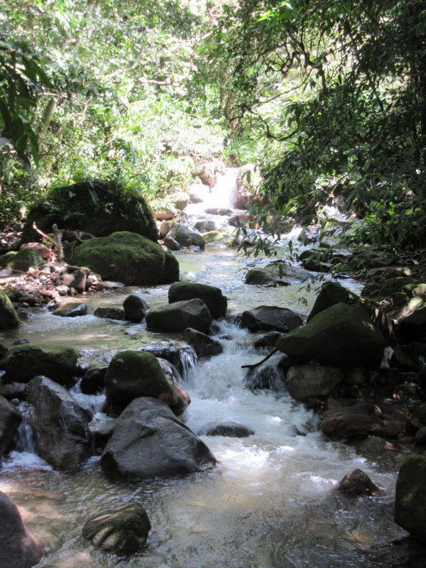 Stream on trail