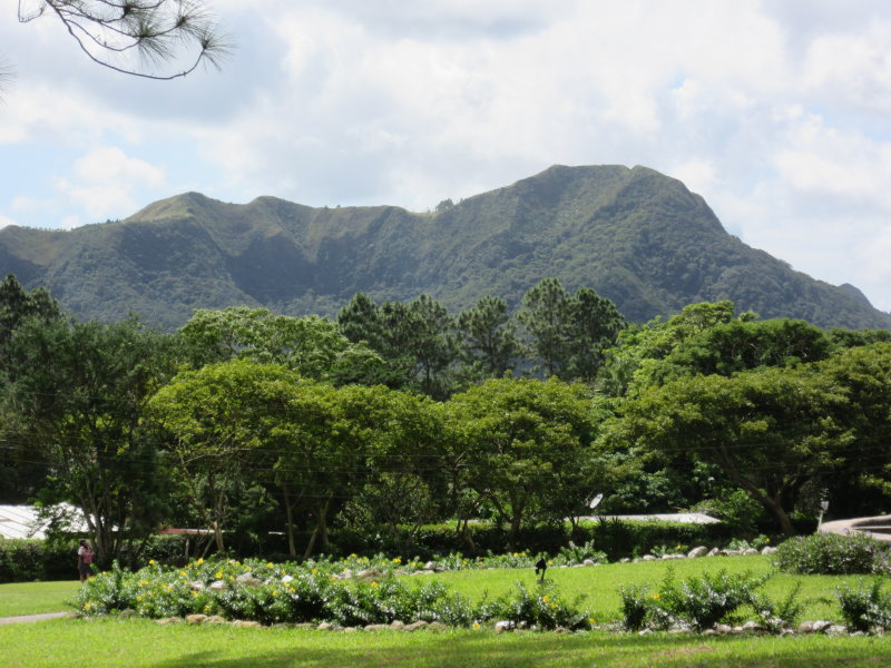 Forested crater rim