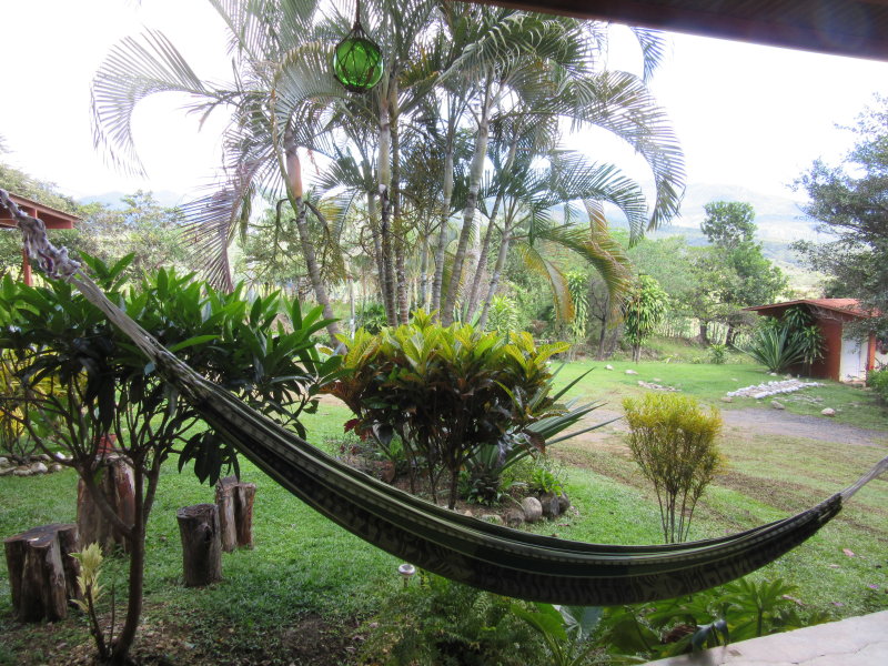 Hotel garden